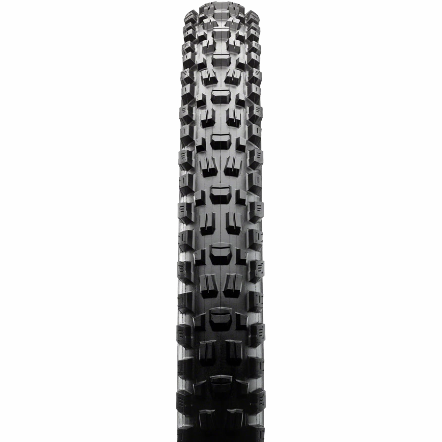Assegai 3C MT EXO  TR WT - 29 x 2.5