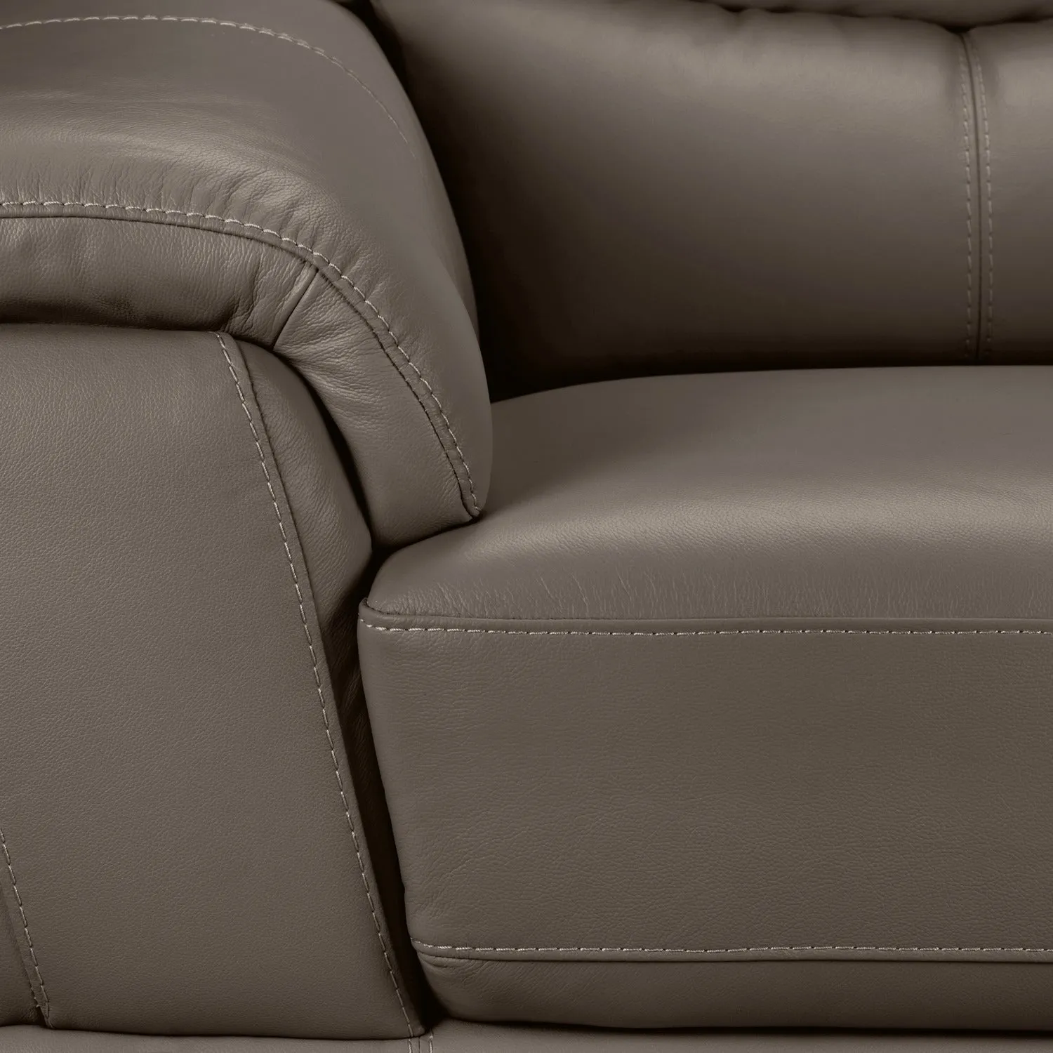 Braylon Leather Loveseat - African Grey