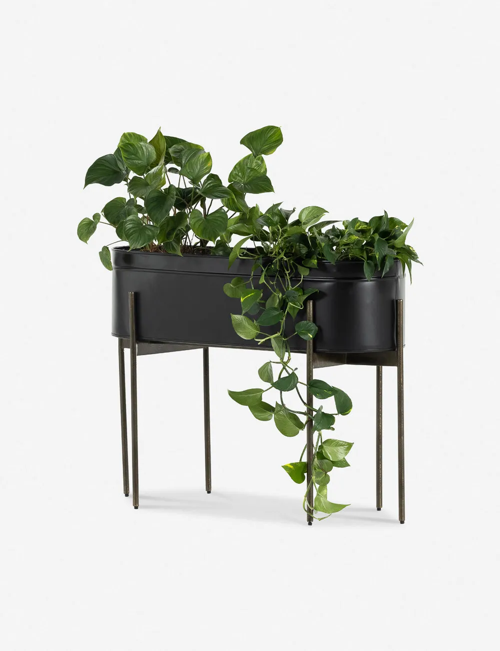 Francine Large Planter Pot