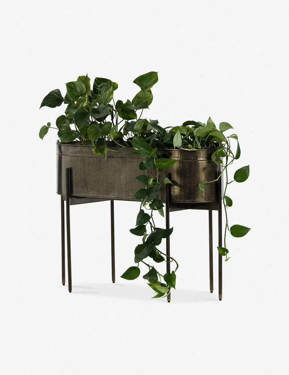 Francine Large Planter Pot