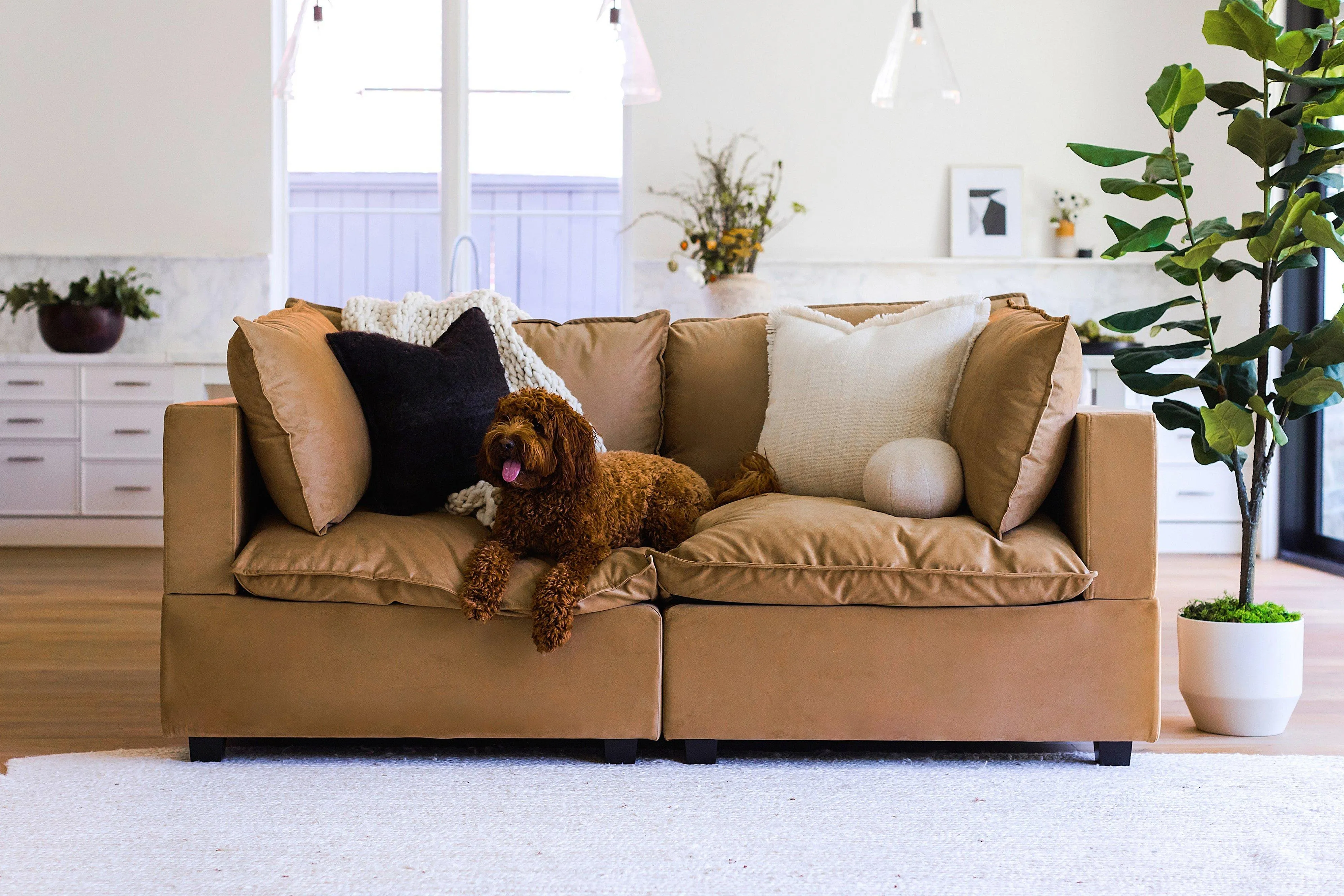 Kova Pillow Cushion Sofa 86"