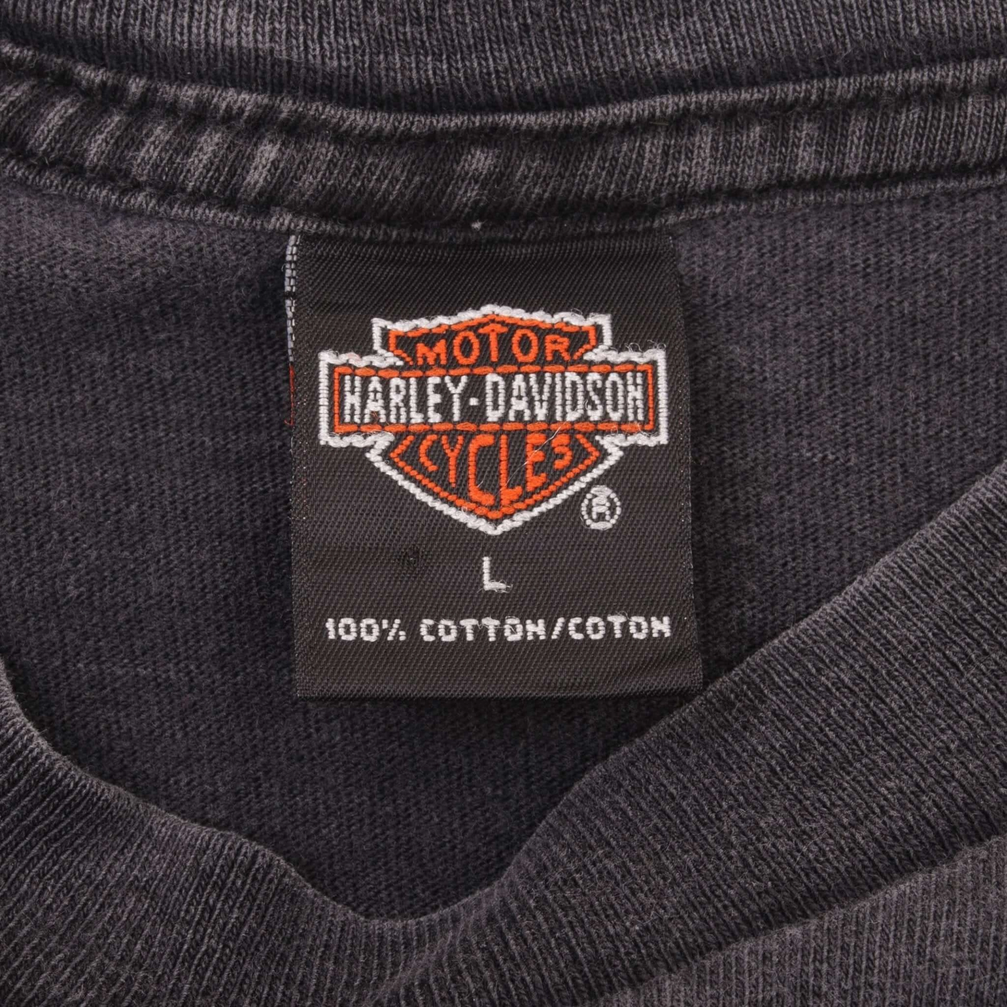 VINTAGE HARLEY DAVIDSON MOTOR CYCLES TEE SHIRT 2000 LARGE MADE IN USA