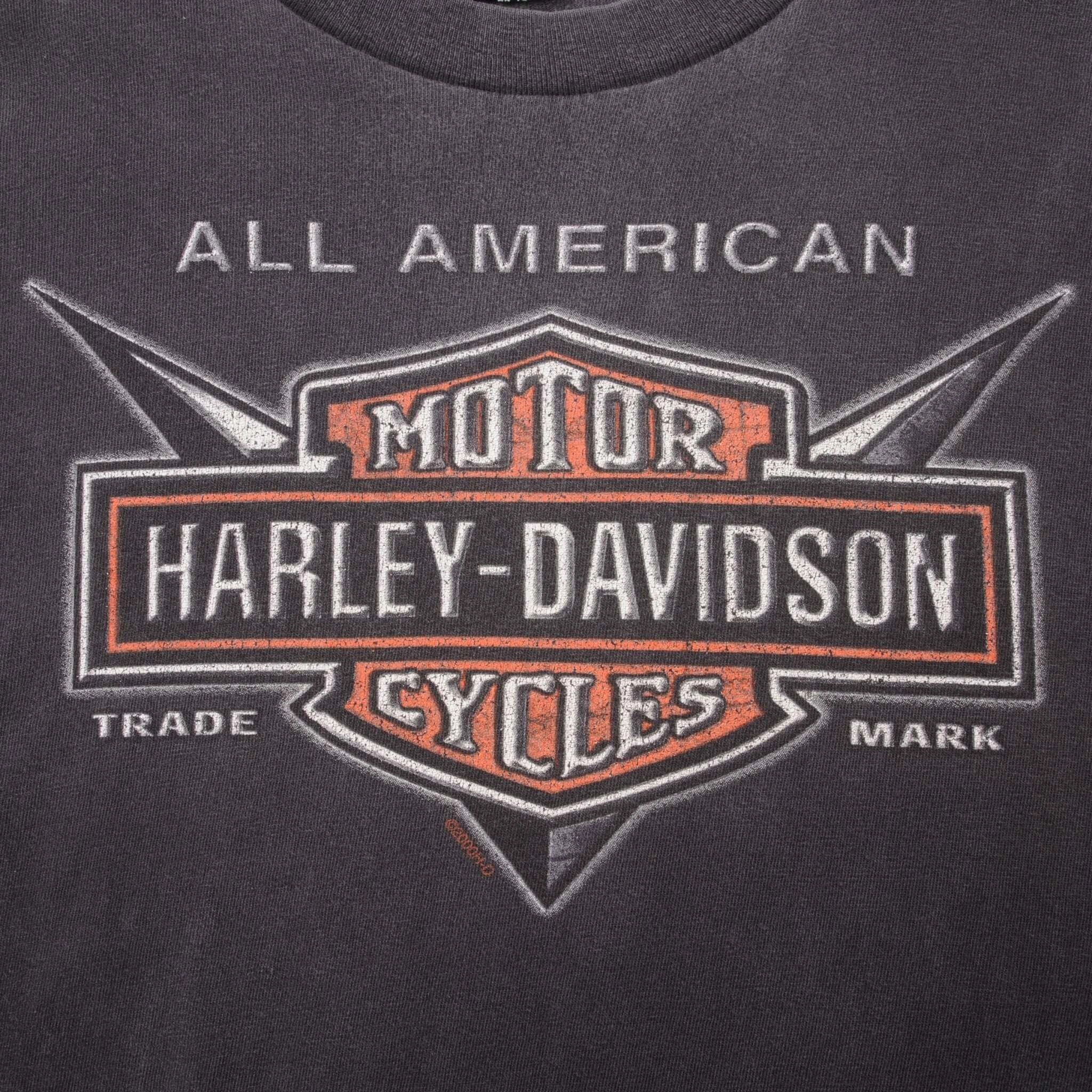 VINTAGE HARLEY DAVIDSON MOTOR CYCLES TEE SHIRT 2000 LARGE MADE IN USA